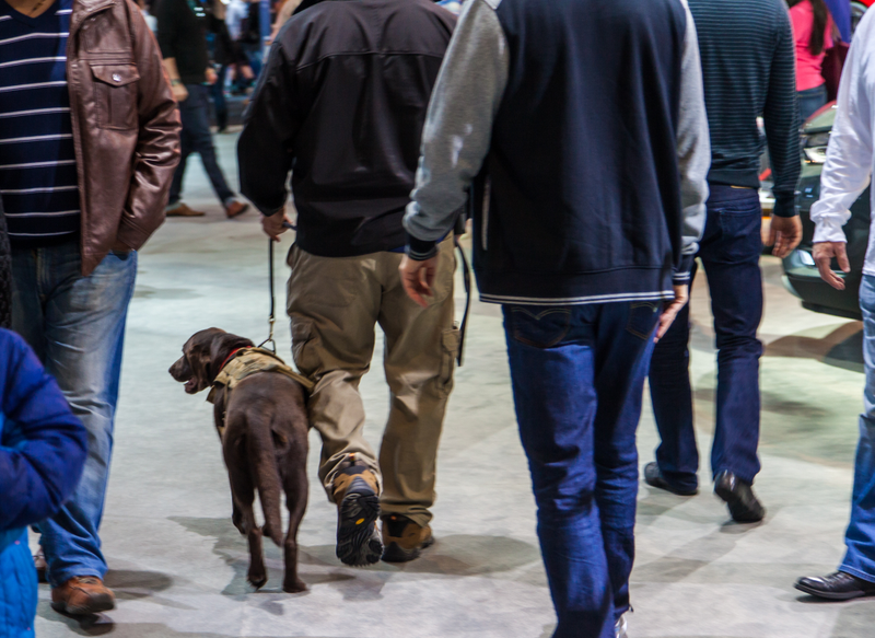 DOG TAX
